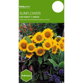 Kiwi Garden Sunflower Irish Seeds