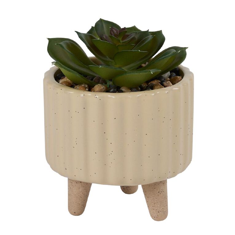 Living & Co Artificial Succulent in Footed Pot, , hi-res