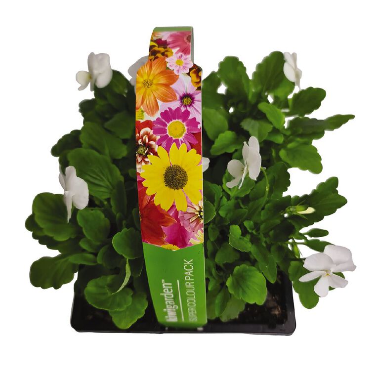 Super Colour 4 Pack, , hi-res