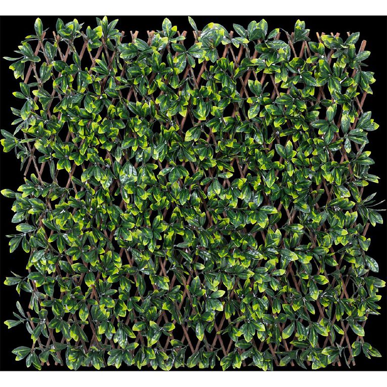 Kiwi Garden Expanding Willow Trellis PE Leaf 100 x 200cm, , hi-res
