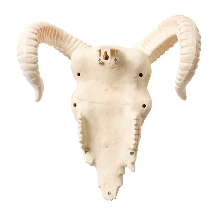 Seasons Ram Skull Decoration, , hi-res