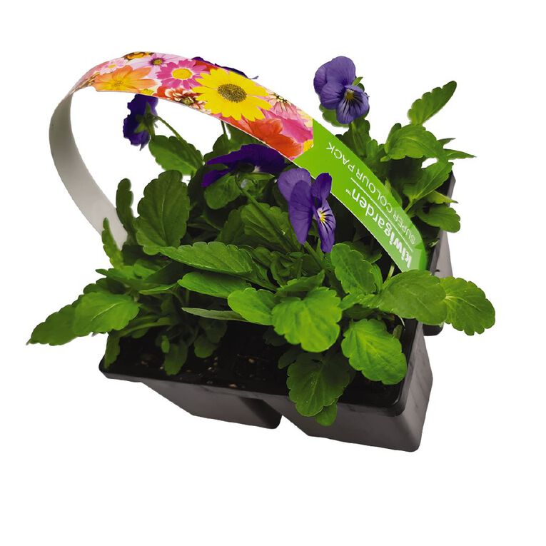 Super Colour 4 Pack, , hi-res