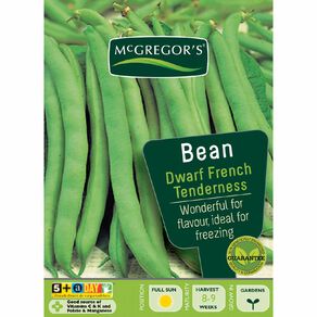 McGregor's French Dwarf Tenderness Beans Vegetable Seeds