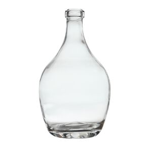 Living & Co Clear Glass Bottle Vase