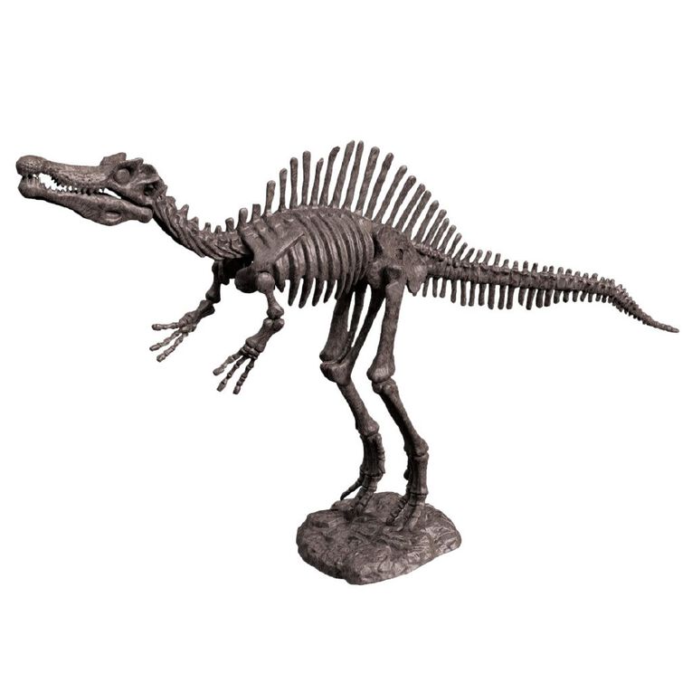 Play Studio Mini Dinosaur Fossil Kit Assorted, , hi-res