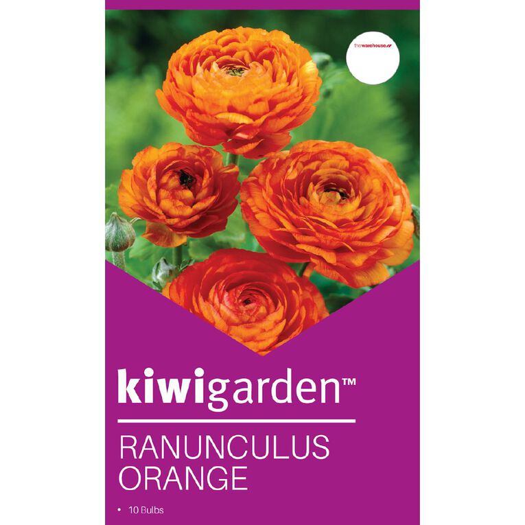 Kiwi Garden Ranunculus Orange 10 bulbs, , hi-res