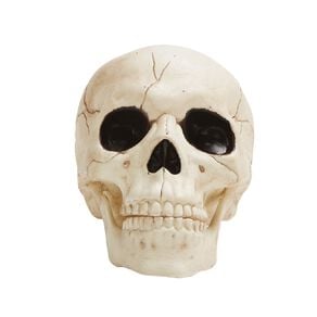 Seasons Skeleton Skull Decoration