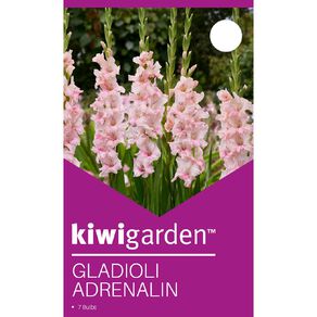 Kiwi Garden Gladioli Adrenalin 7 Pack
