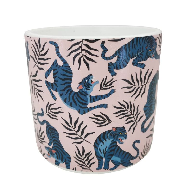 Kiwi Garden Indoor Pot 16cm x 16cm x 15.5cm Assorted, , hi-res