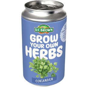 DT Brown Herb Can Grow Kit Coriander
