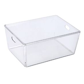 Living & Co Lisse Lidded Organiser Clear 11L