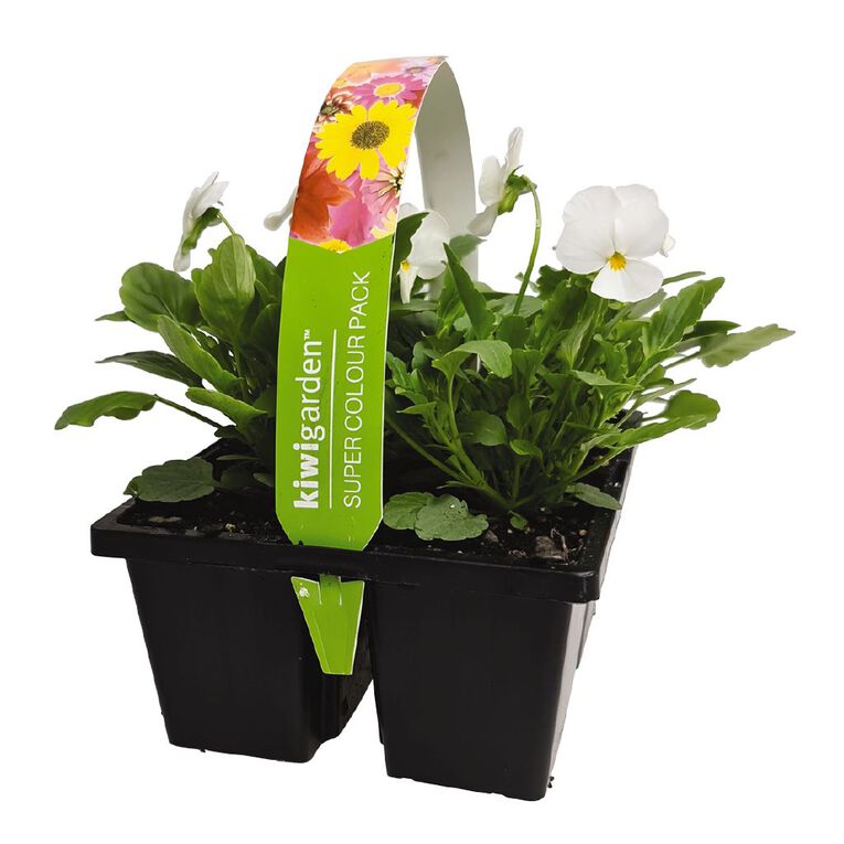 Super Colour 4 Pack, , hi-res