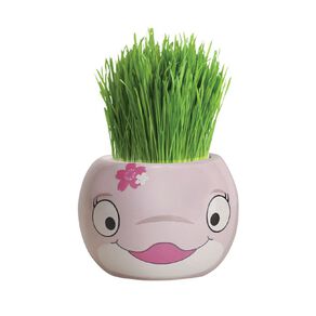 Boutique Garden Grass Head Kit Ocean Life Dolphin