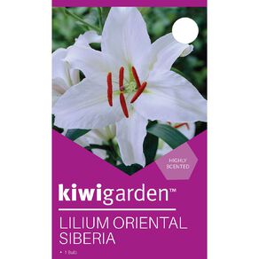 Kiwi Garden Oriental Siberia 1 Pack