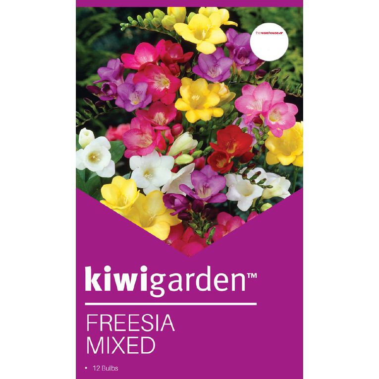Kiwi Garden Freesia Double Mixed 12 bulbs, , hi-res
