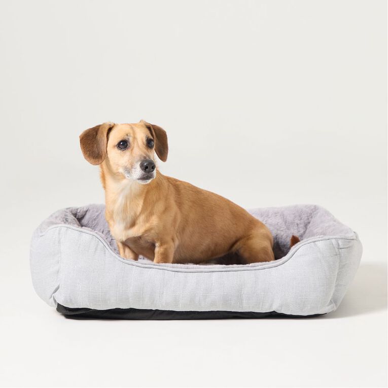 Petzone Grey Rectangular Bed Medium, , hi-res