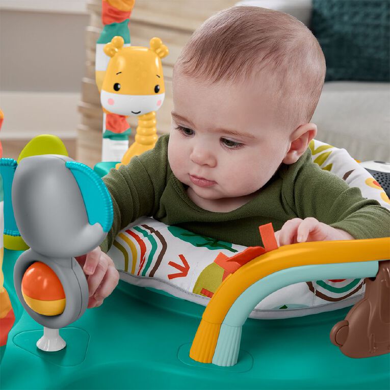 Fisher-Price Whimsical Jumperoo | The Warehouse