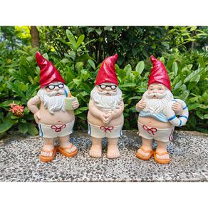 Kiwi Garden Beach Gnome