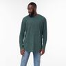 Green Dark