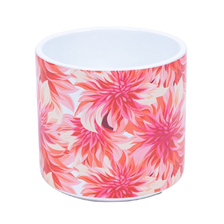 Kiwi Garden Indoor Pot 16cm x 16cm x 15.5cm Assorted, , hi-res