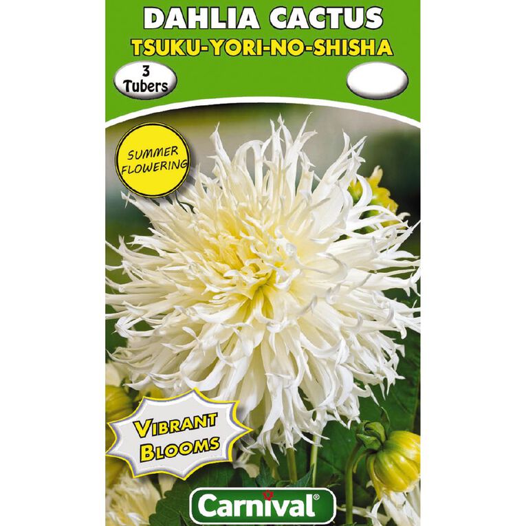 Kiwi Garden Dahlia Bulb Single Variety 3 Pack, , hi-res