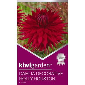 Kiwi Garden Gold Dahlia Bulb Dinner Plate assorted 1 Pack