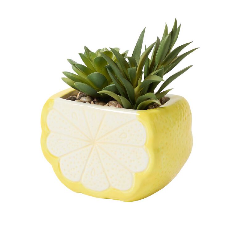 Living & Co Novelty Lemon Artificial Succulent, , hi-res
