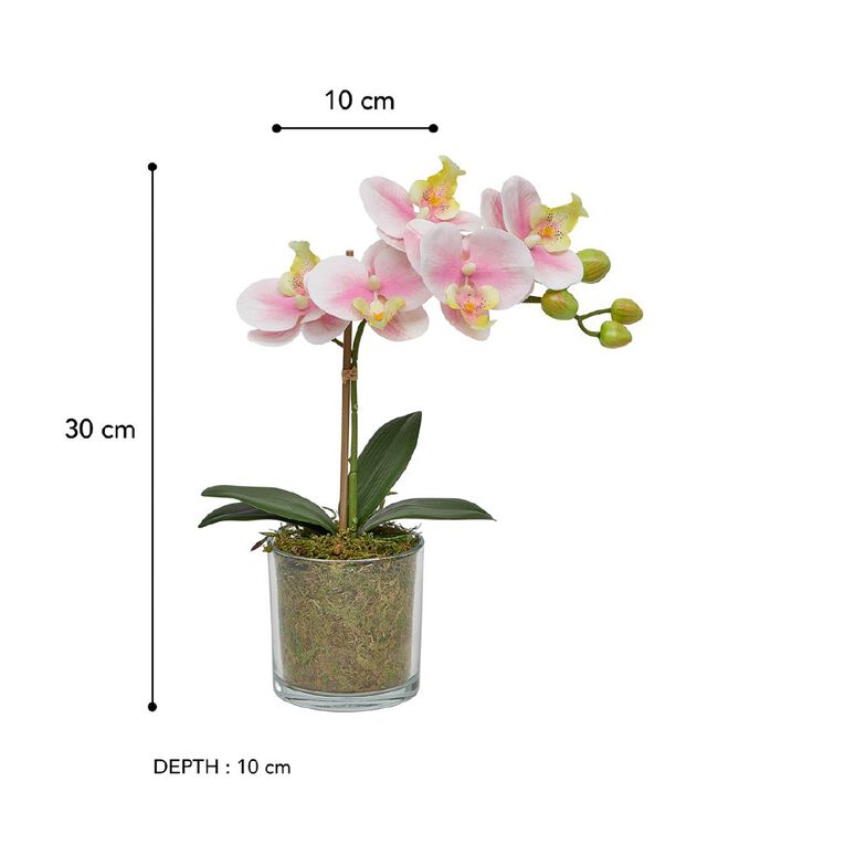 Botanica Artificial 30cm Orchid in Pot, , hi-res