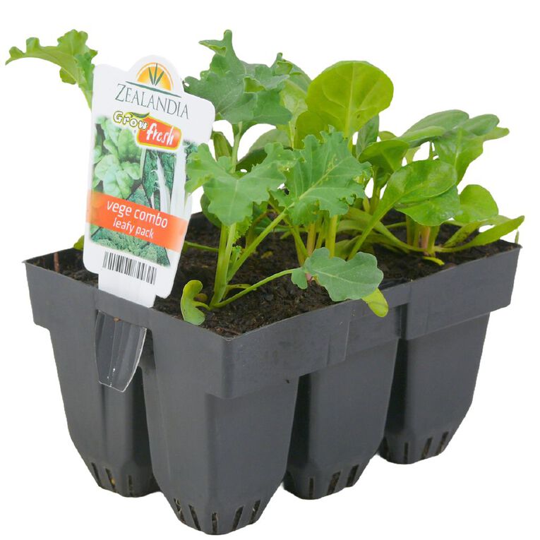 Growfresh Vege Combo Leafy, , hi-res