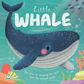 Mini Story Book: Little Whale