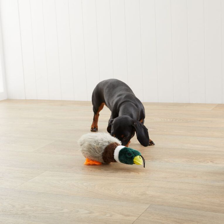 Petzone Dog Toy Plush Duck Large MultiColoured The Warehouse