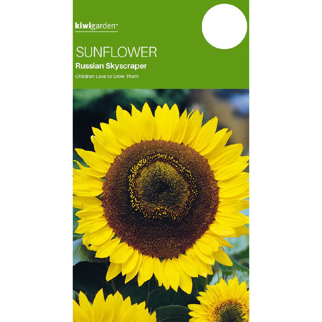 Kiwi Garden Sunflower Russian Skyscraper | The Warehouse