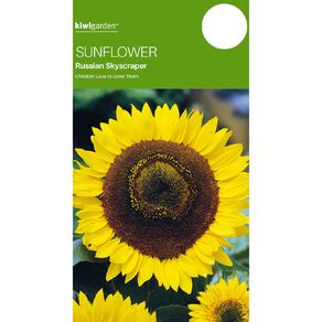 Kiwi Garden Sunflower Russian Skyscraper