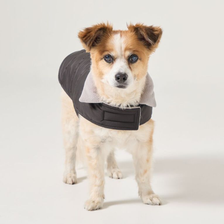 Petzone All Weather Jacket Medium, , hi-res