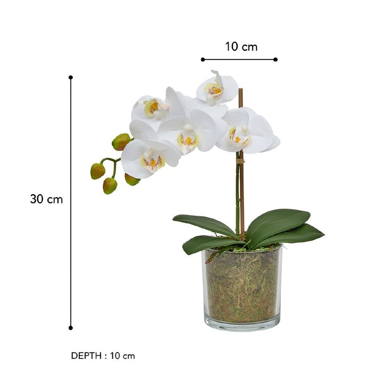 Botanica Artificial 30cm Orchid in Pot, , hi-res