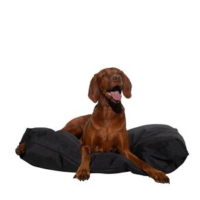 Petzone Water Repellent Mat XL