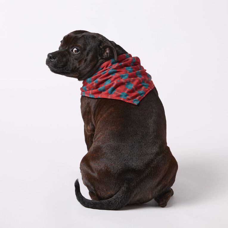 Wonderland Pet Christmas Bandana Assorted, , hi-res