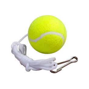 Active Intent Play Replacement Swingball