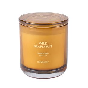 Living & Co Homestay Wild Grapefruit Candle 11oz