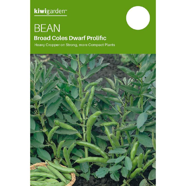 Kiwi Garden Broad Bean Coles Dwarf Prolific Seeds, , hi-res