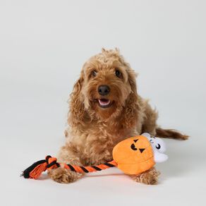 Scarehouse Rope Pet Toy