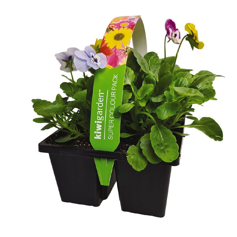 Super Colour 4 Pack, , hi-res