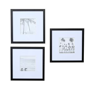 Living & Co Framed Print Palm 3 Pack