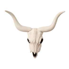 Seasons Seasons Bull Skull Decoration