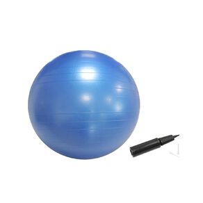 Active Intent Fitness Gym Ball 65cm