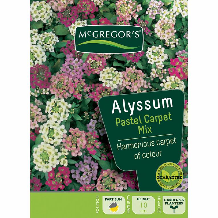 McGregor's Alyssum Pastel Flower Seeds, , hi-res