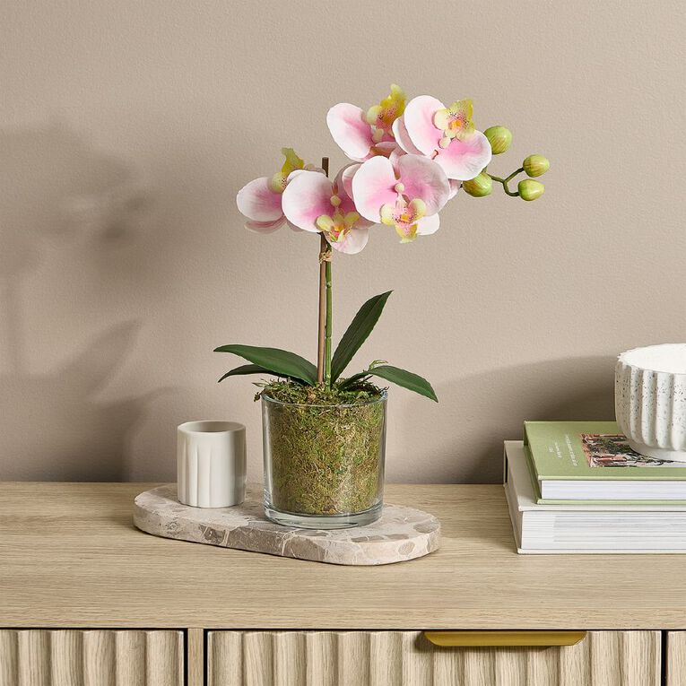 Botanica Artificial 30cm Orchid in Pot, , hi-res