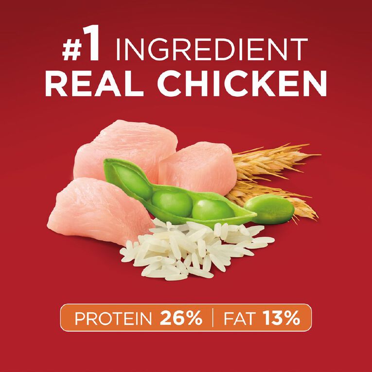 PURINA ONE Adult Chicken & Rice Dry Dog Food 2.5kg, , hi-res