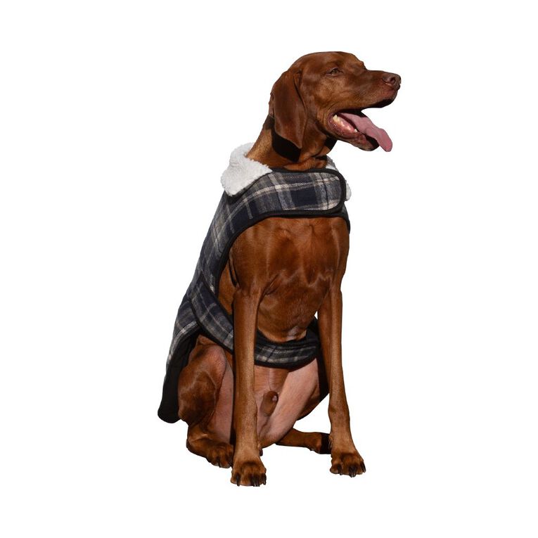 Petzone Check Jacket Blue XL, , hi-res