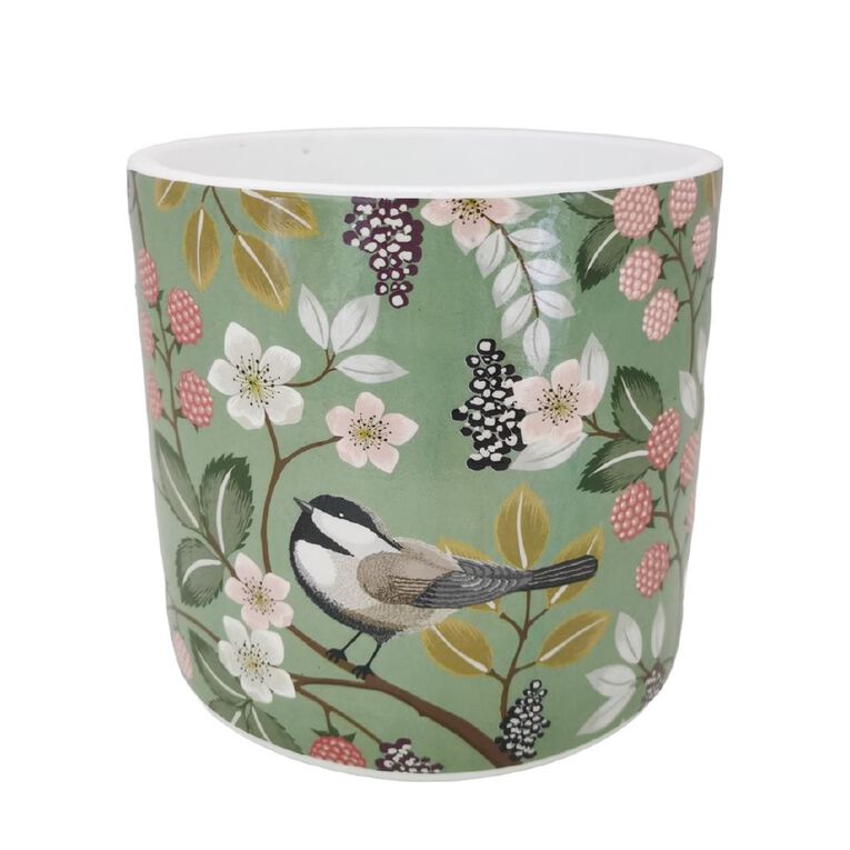 Kiwi Garden Indoor Pot 16cm x 16cm x 15.5cm Assorted, , hi-res